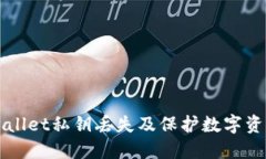 如何应对TPWallet私钥丢失及保护数字资产的最佳实